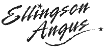 Ellingson Angus