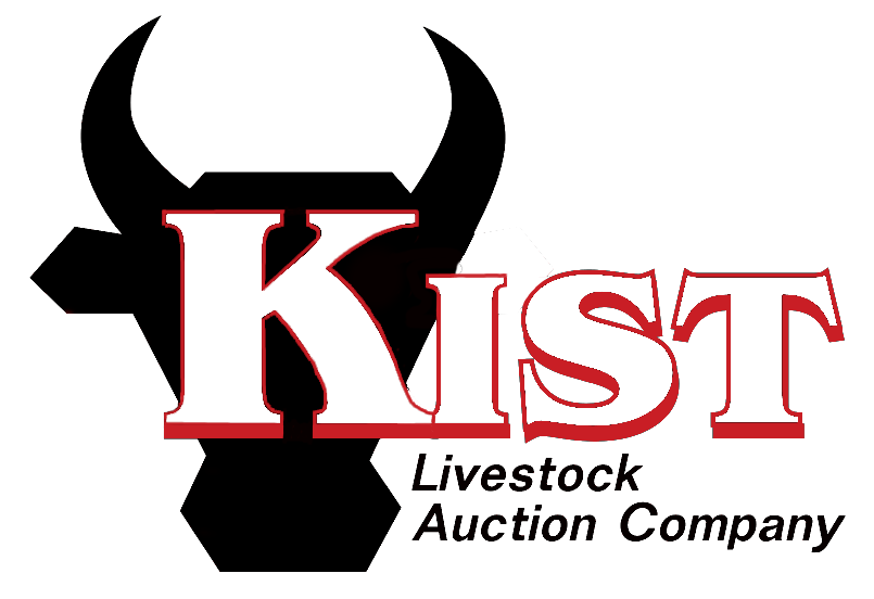 Kist