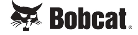Bobcat of Mandan